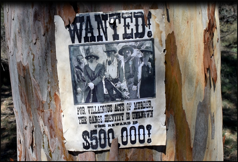Wanted Poster screenshot